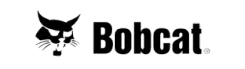 bobcat